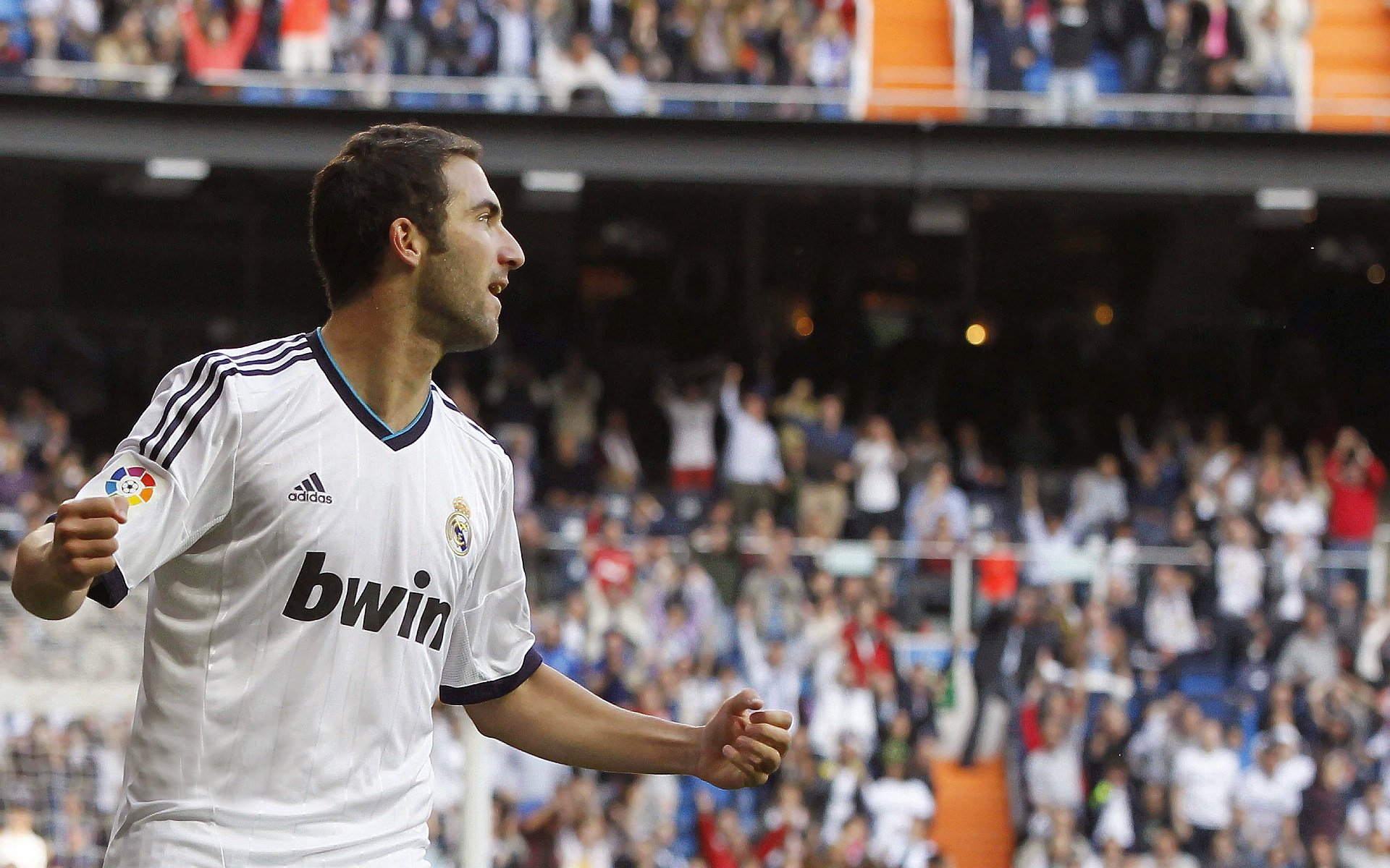 “南非羚羊队的强大阵容：萨尔·巴赫和其他新星的完美搭档”